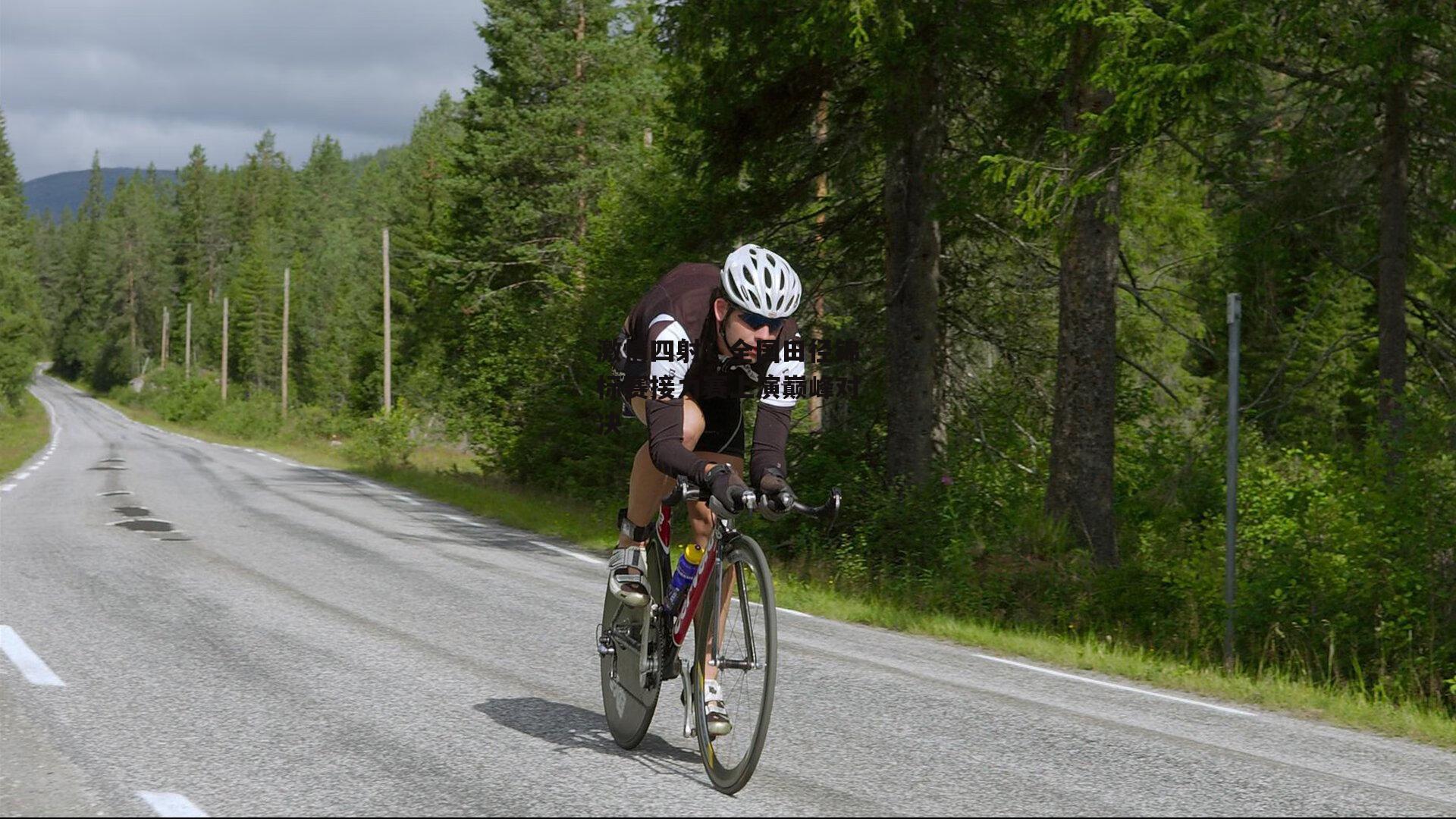 激情四射!全国田径锦标赛接力赛上演巅峰对决