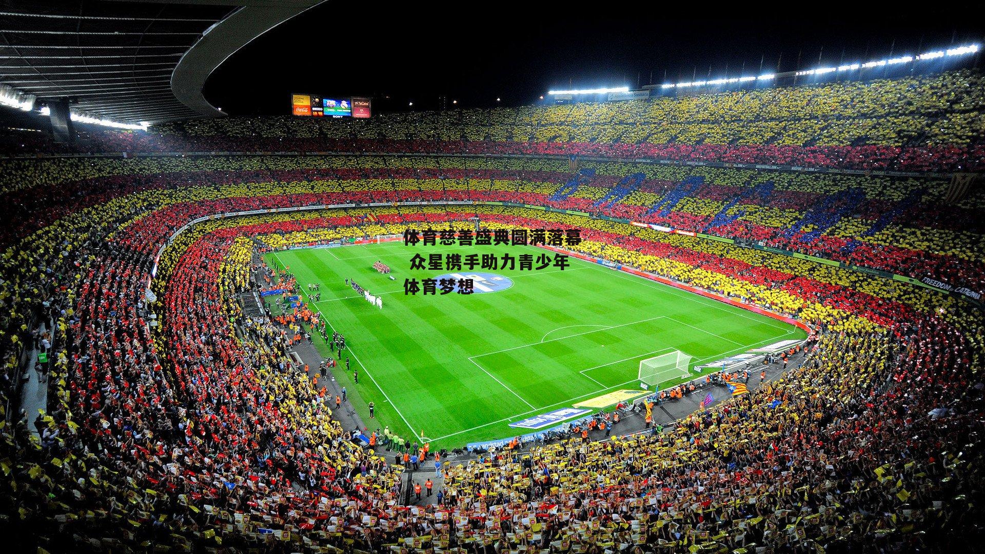 体育慈善盛典圆满落幕 众星携手助力青少年体育梦想