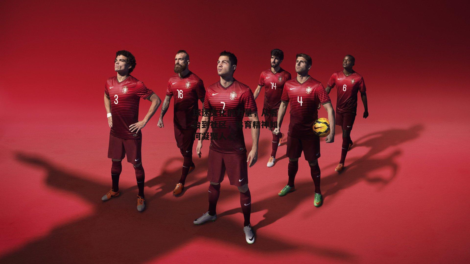 球迷文化的力量,从看台到社区,体育精神如何凝聚人心