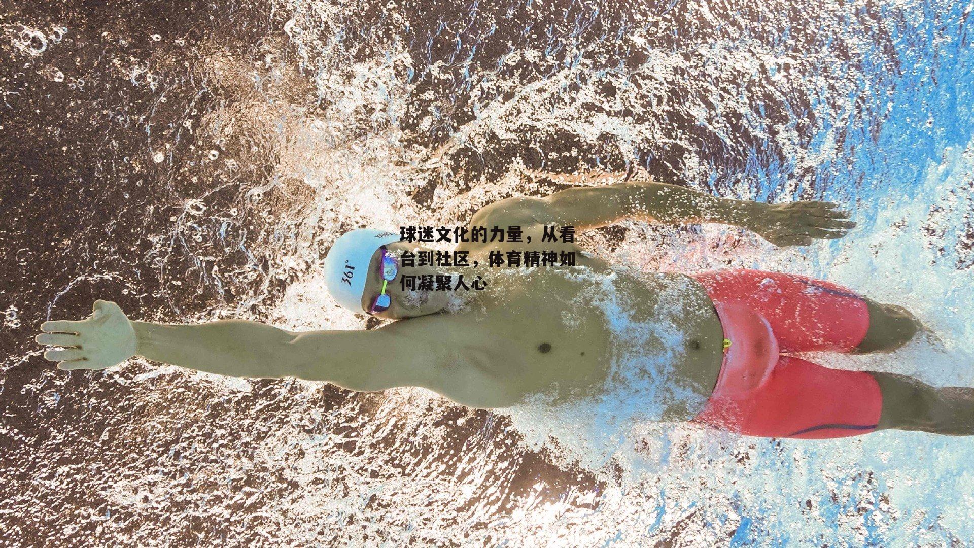 球迷文化的力量,从看台到社区,体育精神如何凝聚人心