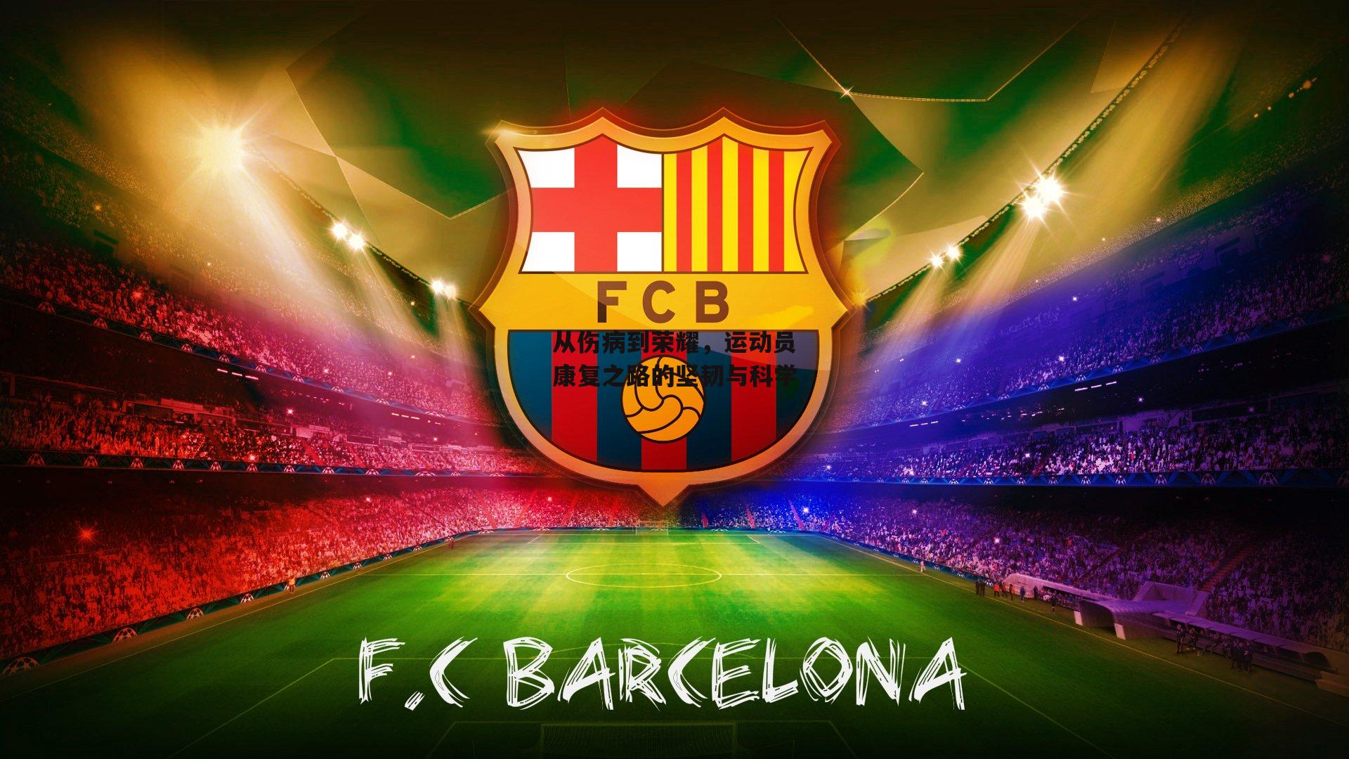 从伤病到荣耀,运动员康复之路的坚韧与科学