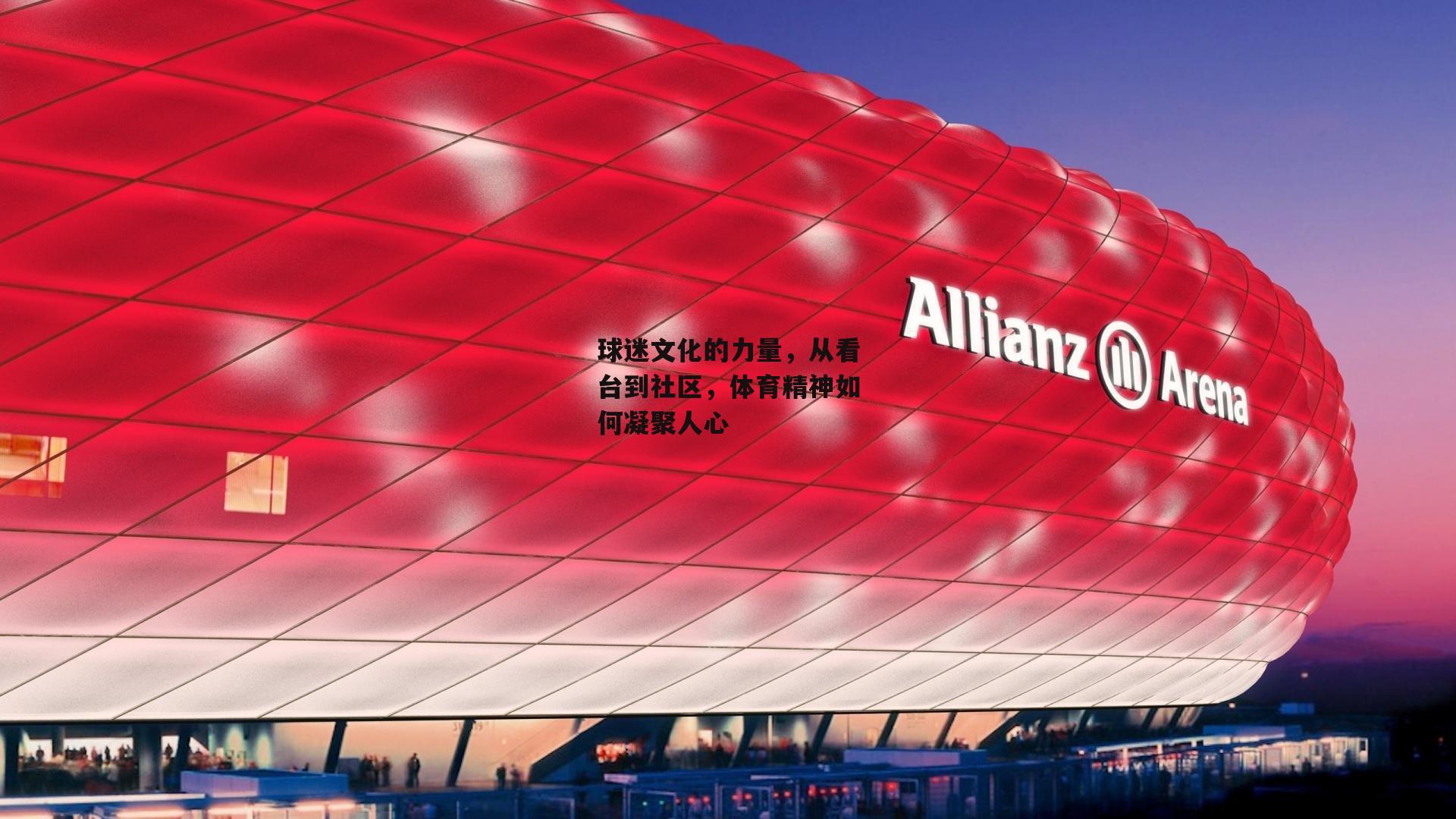 球迷文化的力量,从看台到社区,体育精神如何凝聚人心