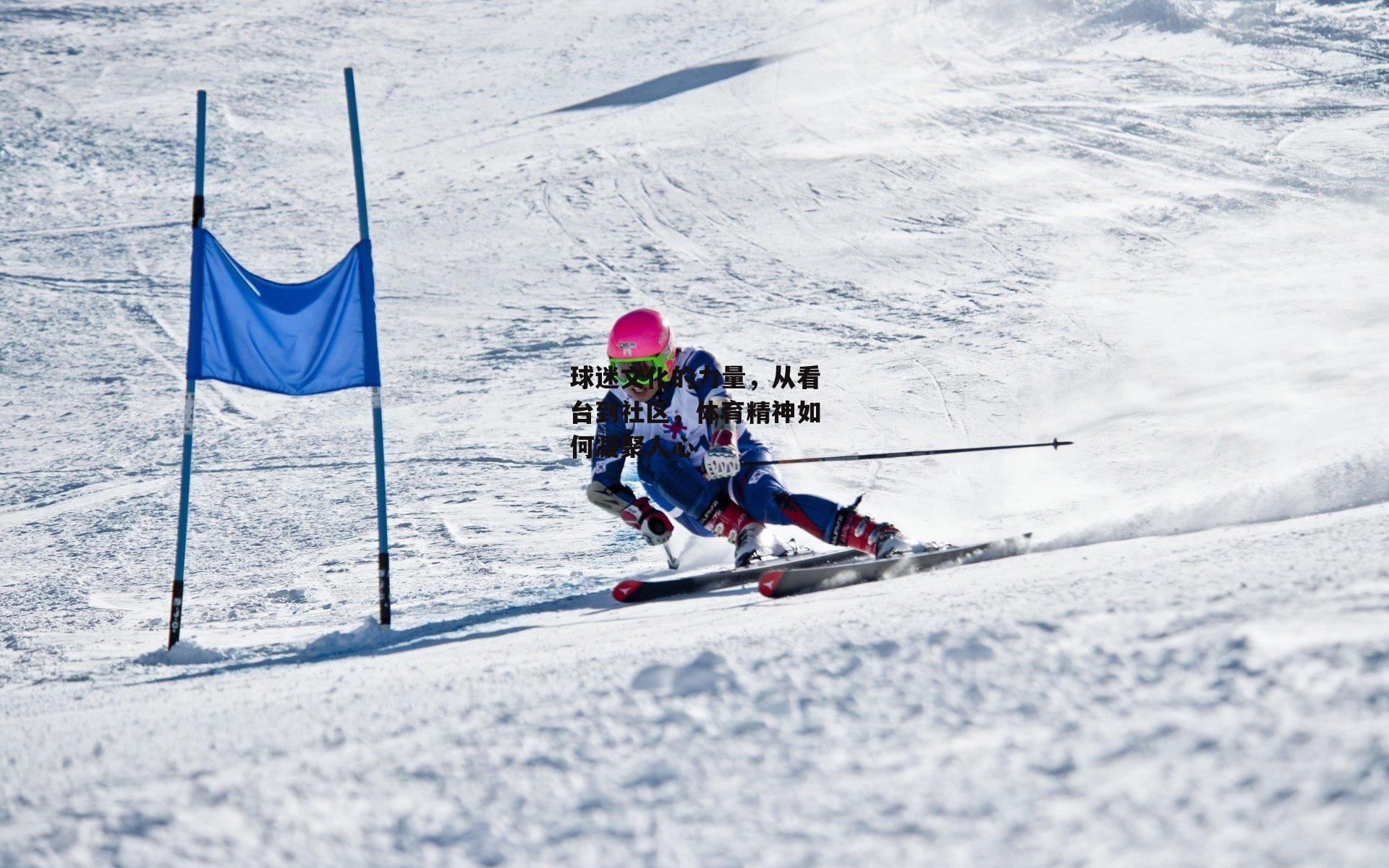 球迷文化的力量,从看台到社区,体育精神如何凝聚人心