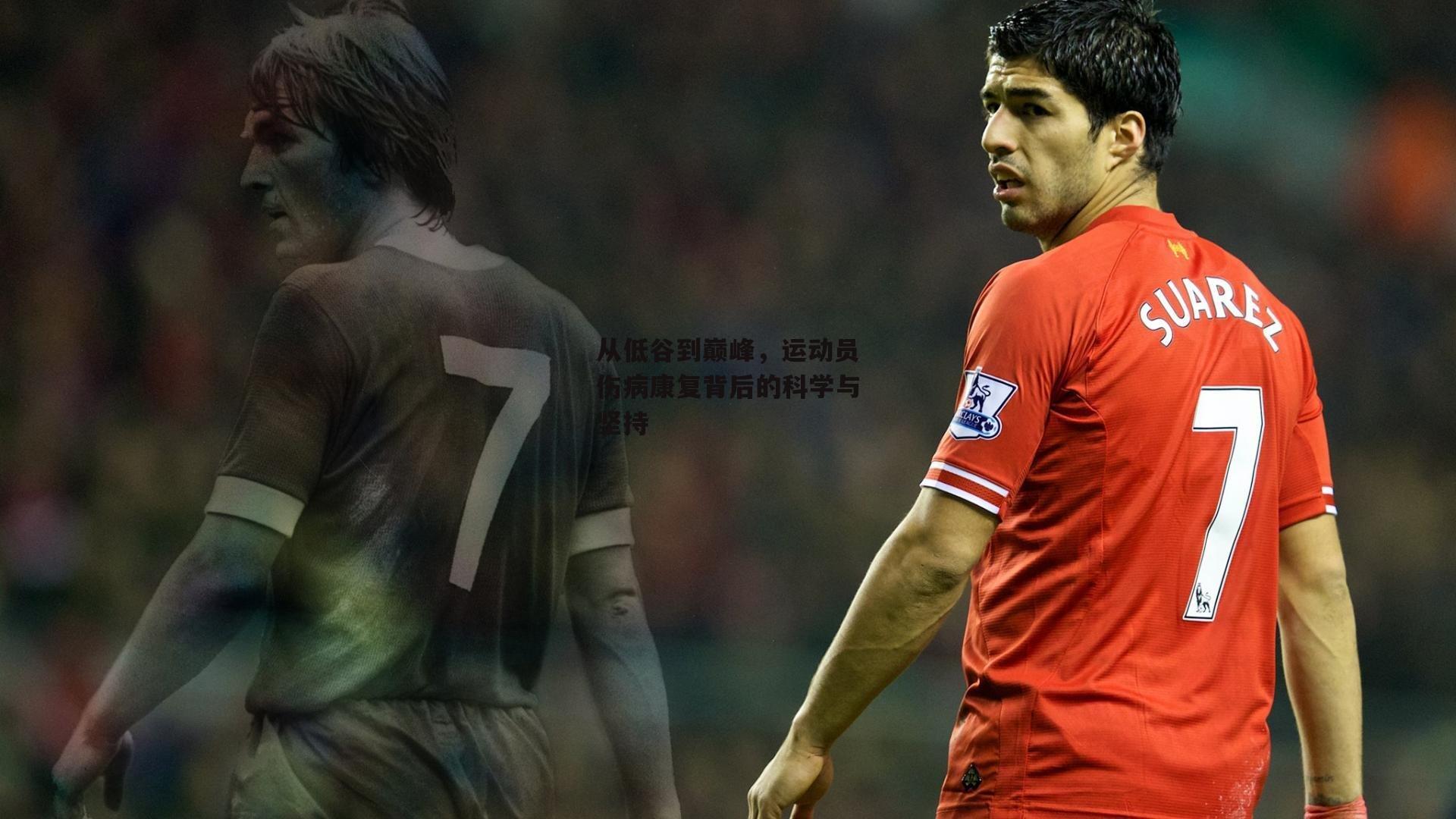 从低谷到巅峰，运动员伤病康复背后的科学与坚持